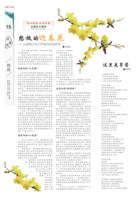 15版导读