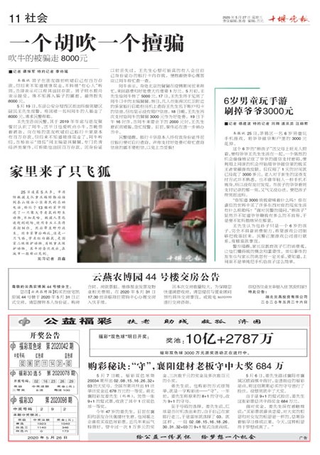 11版导读