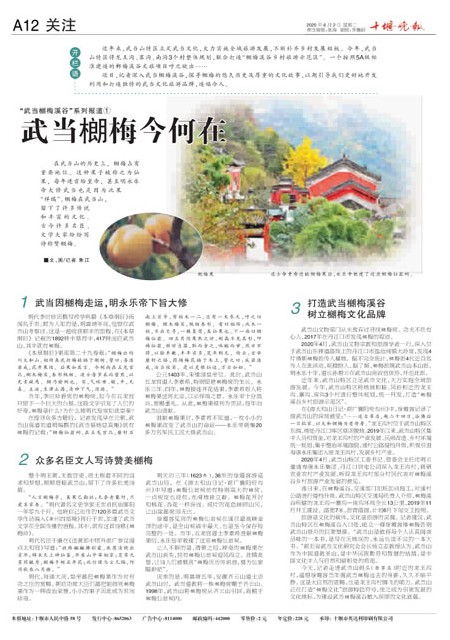 A12版导读