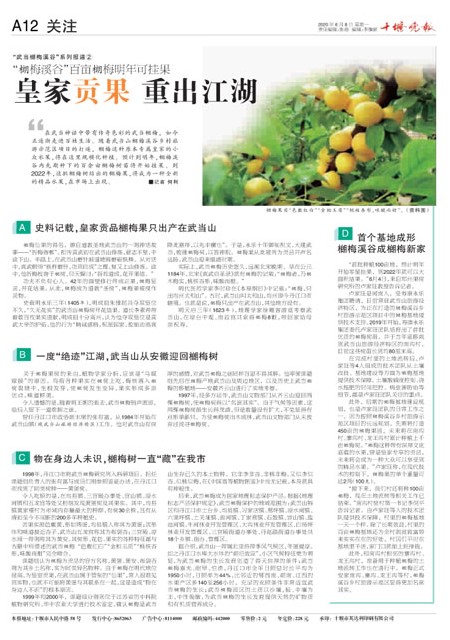 A12版导读