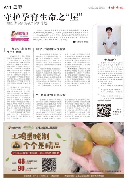 A11版导读