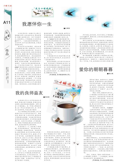 A11版导读