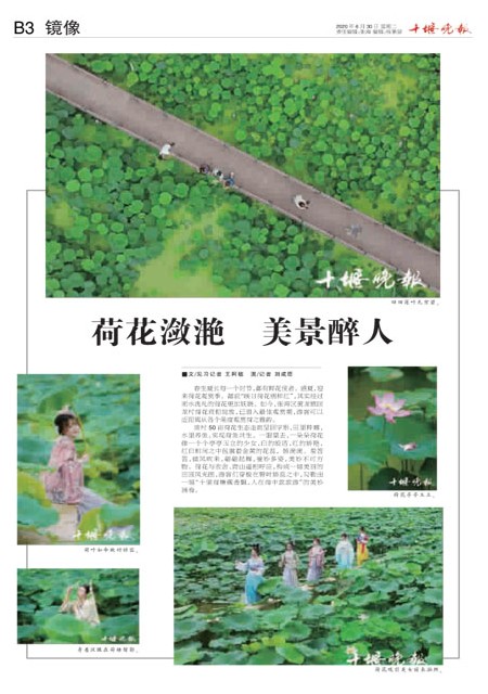 B03版导读