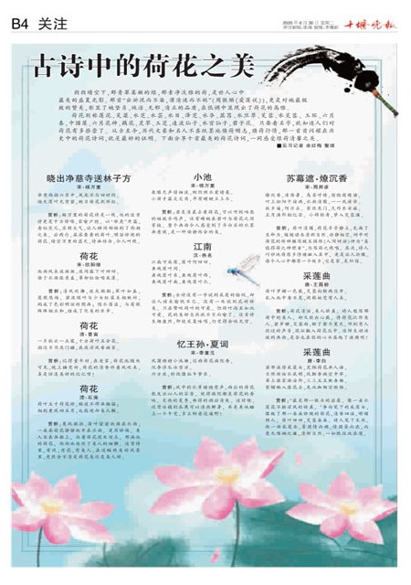 B04版导读