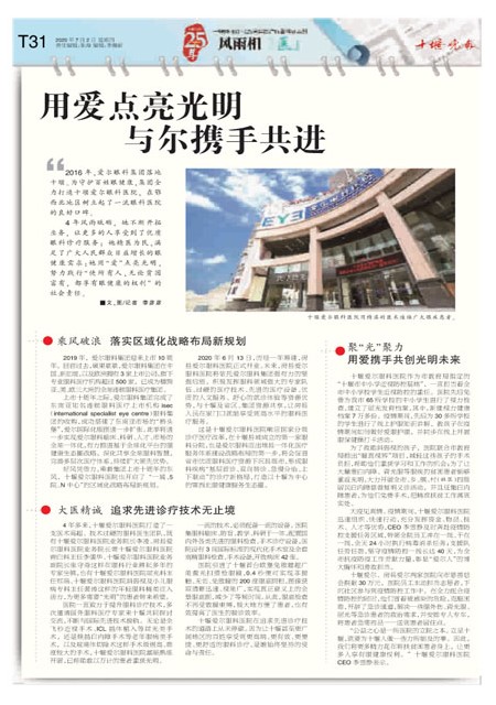T31版导读