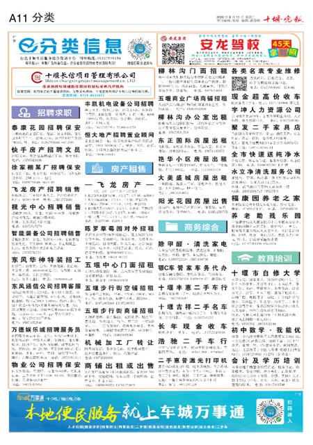 A11版导读