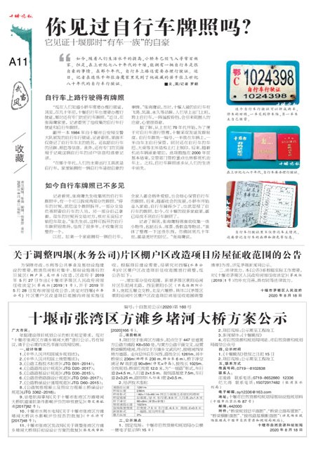 A11版导读