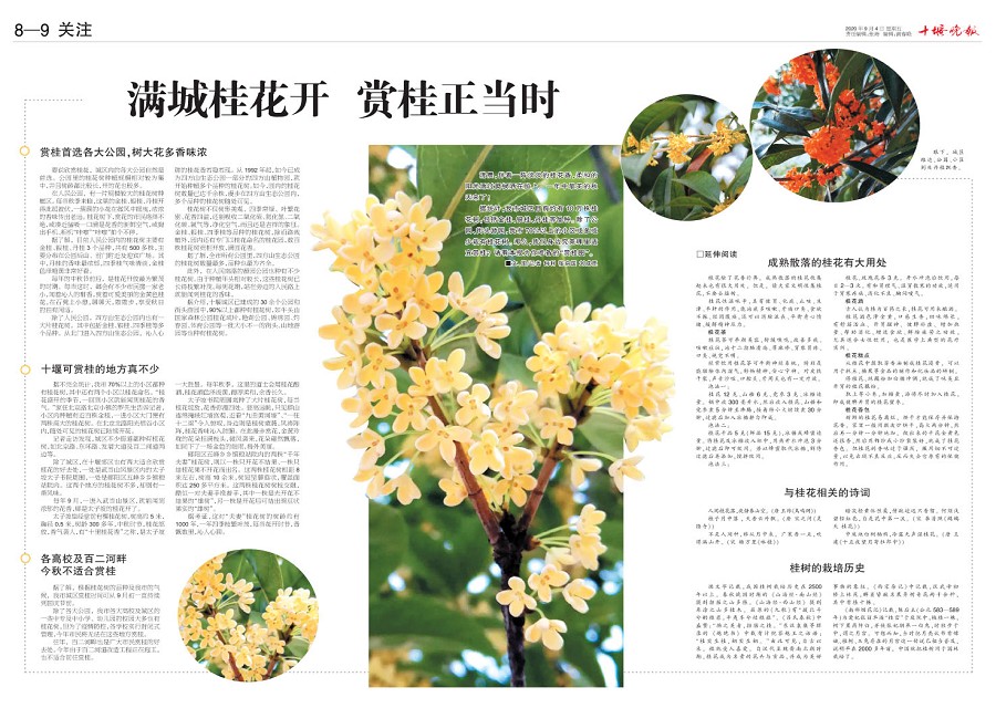 08版导读