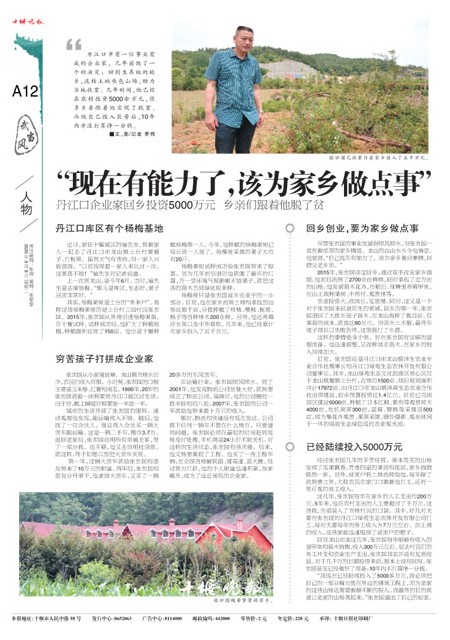 A12版导读