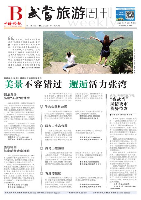 B01版导读