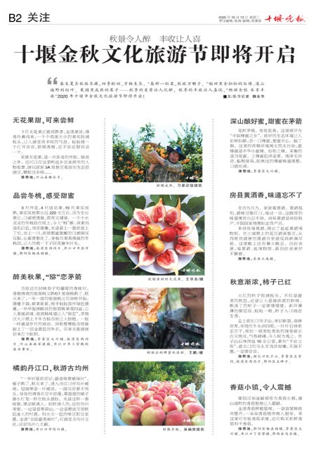 B02版导读