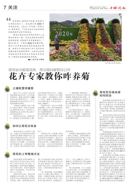 07版导读