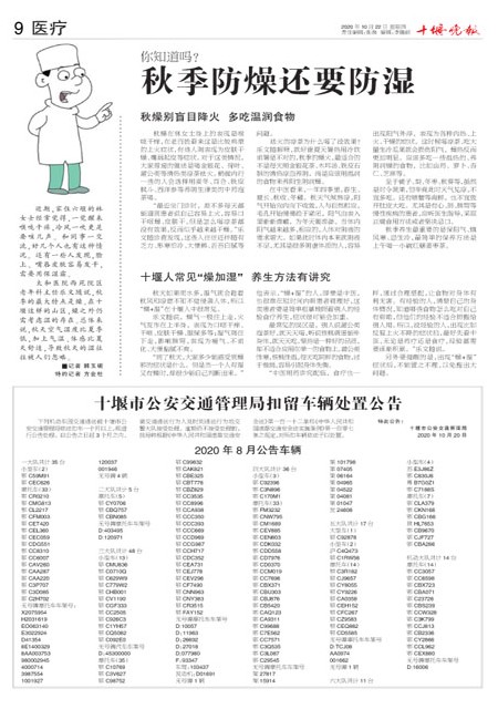 09版导读