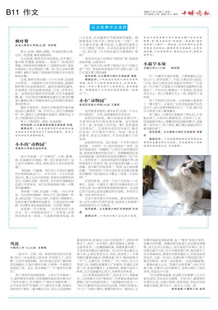 B11版导读