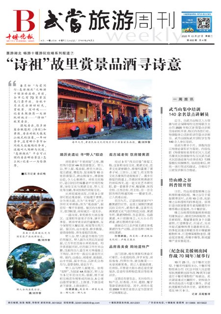 B01版导读