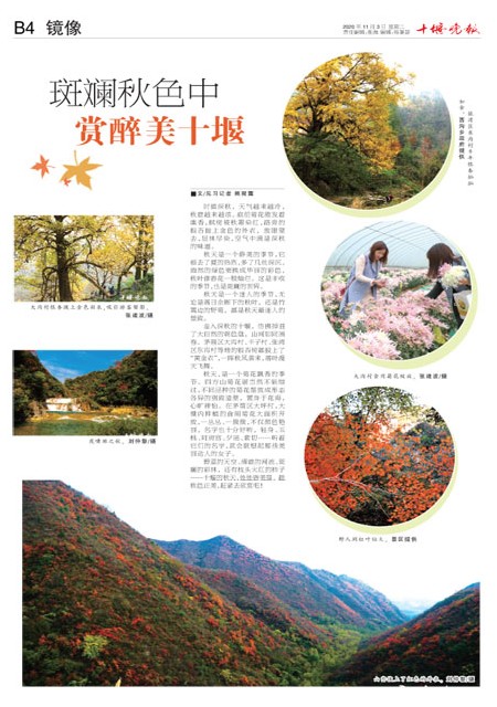 B04版导读