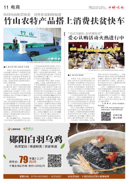 11版导读