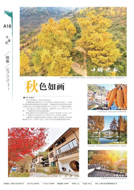 A16版导读