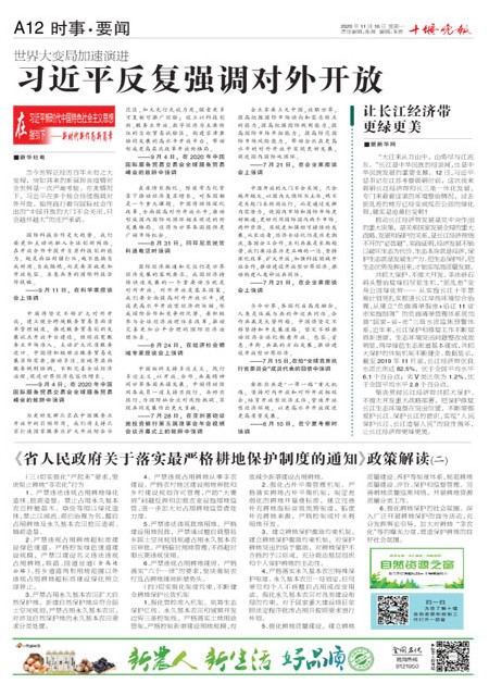 A12版导读