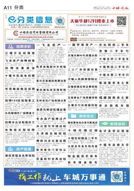 A11版导读