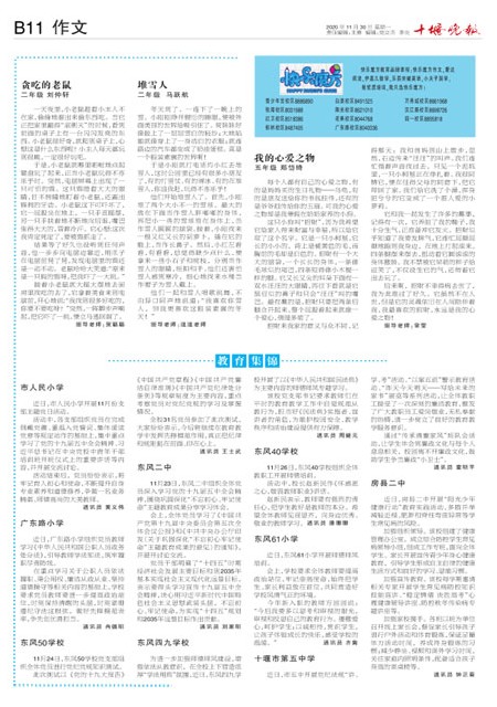 B11版导读