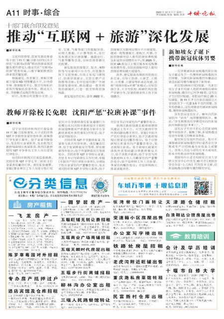 A11版导读