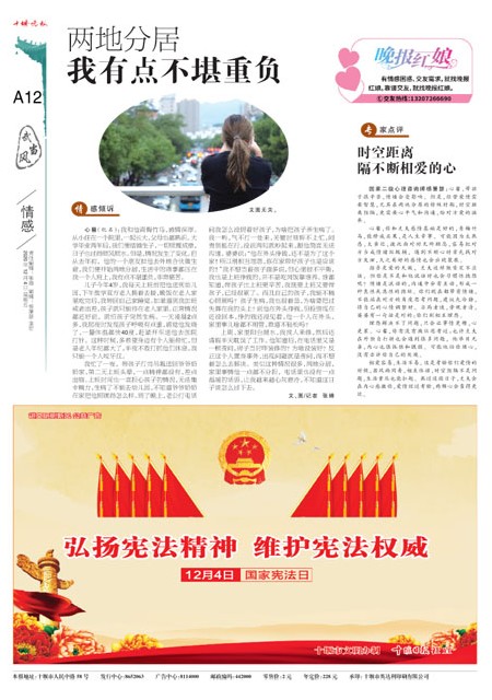 A12版导读