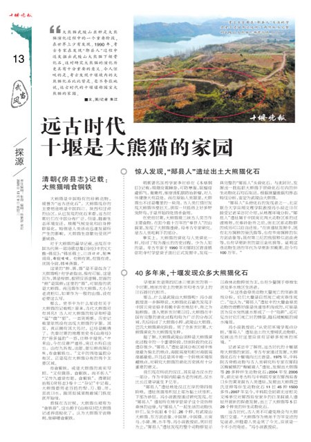 13版导读