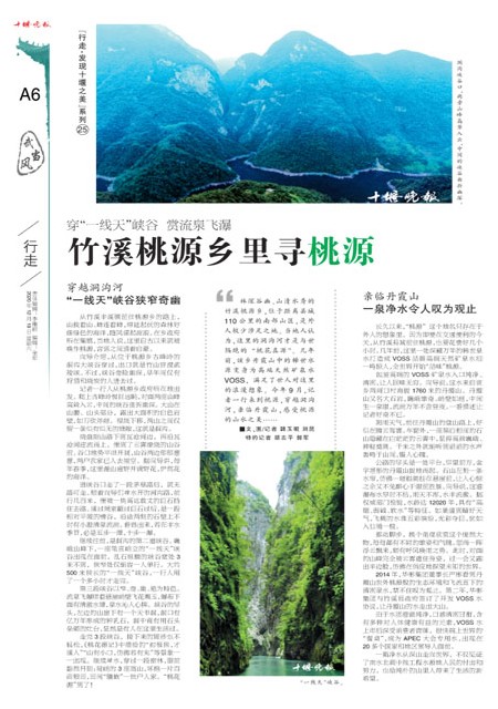 A6版导读