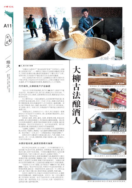 A11版导读