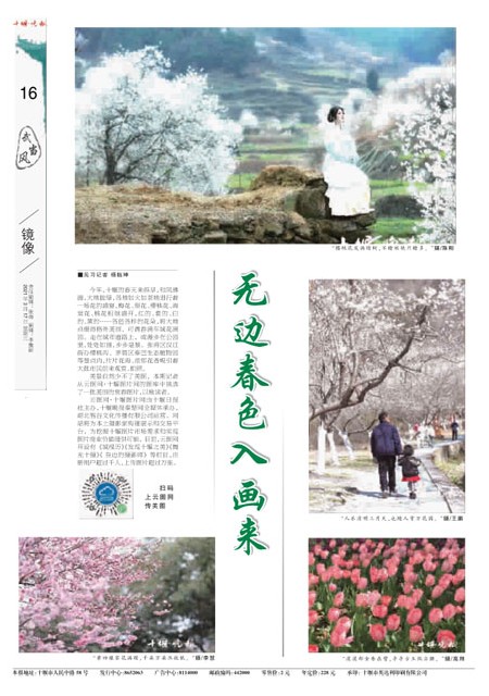 16版导读