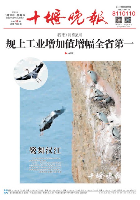 A01版导读