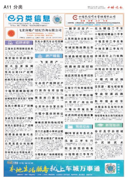 A11版导读