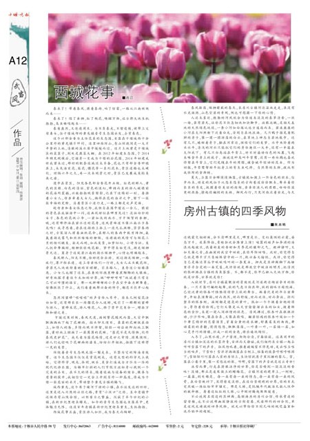 A12版导读