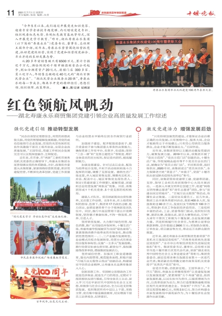A11版导读