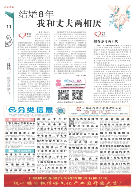 A11版导读
