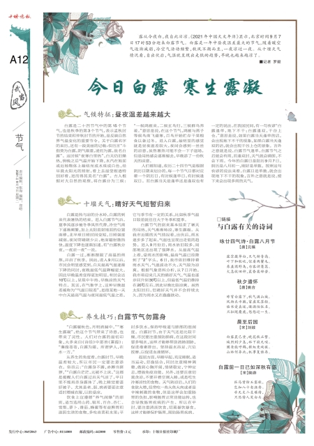 A12版导读