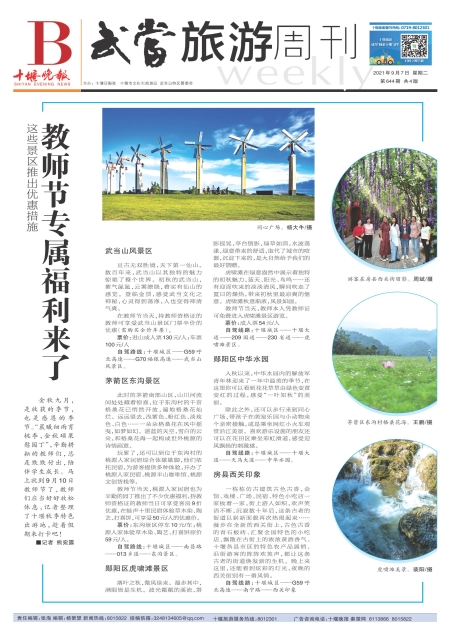 B01版导读