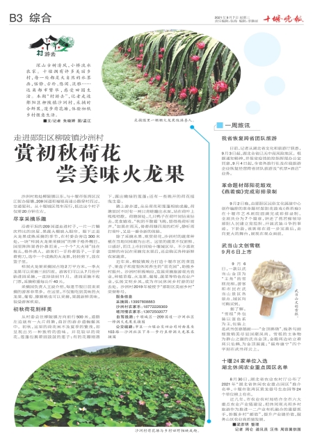 B03版导读