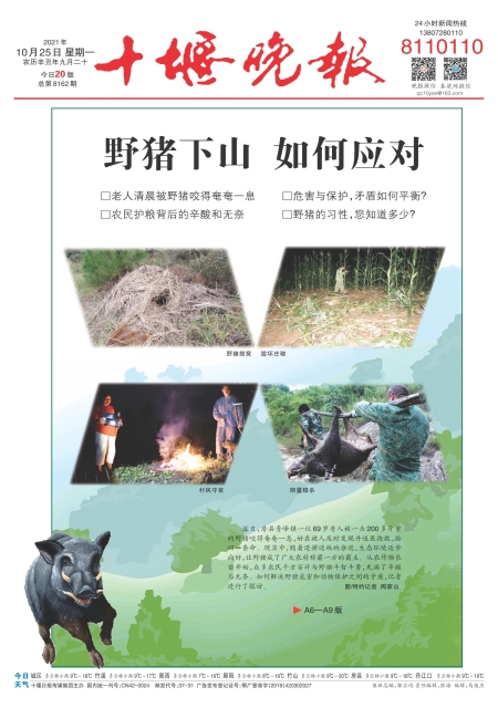 A01版导读