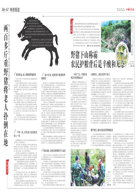 A07版导读
