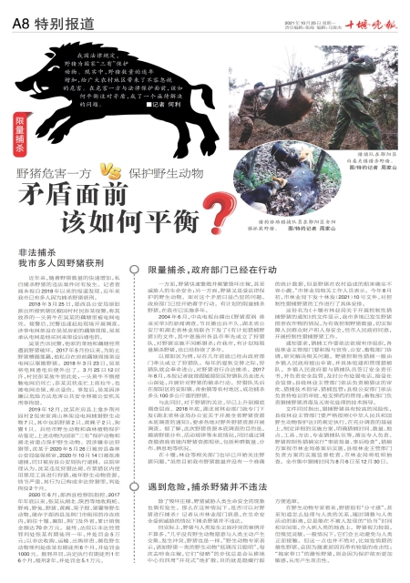 A08版导读