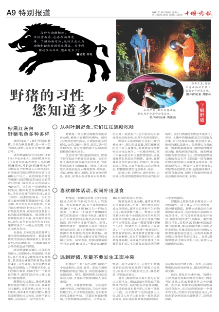 A09版导读