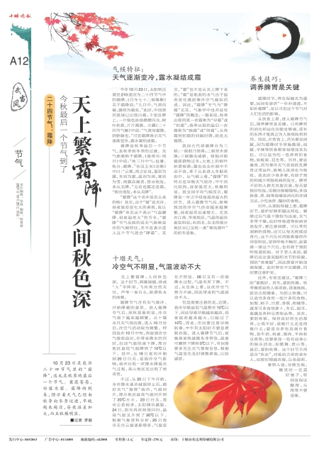 A12版导读