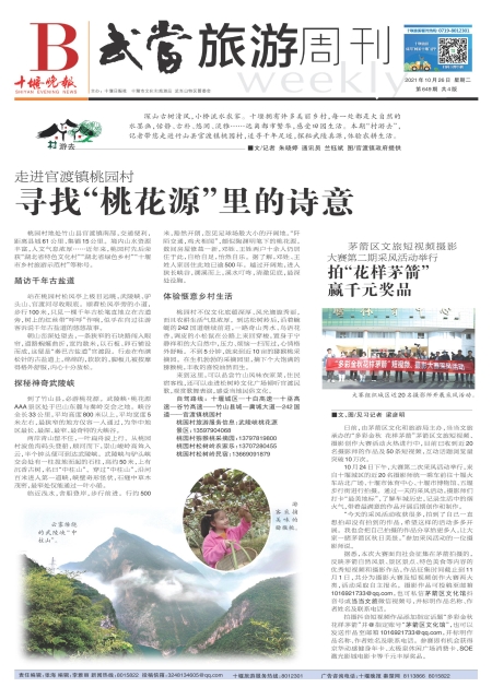 B01版导读