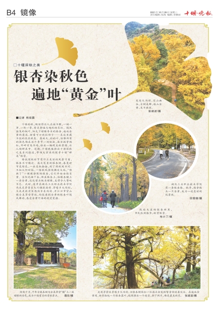 B04版导读