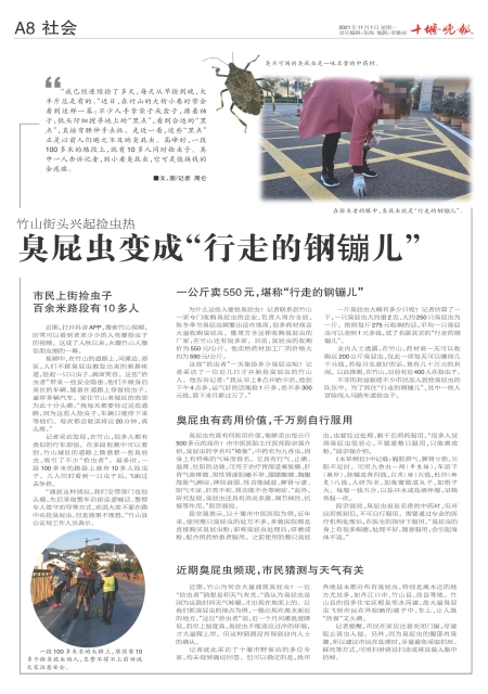 A08版导读