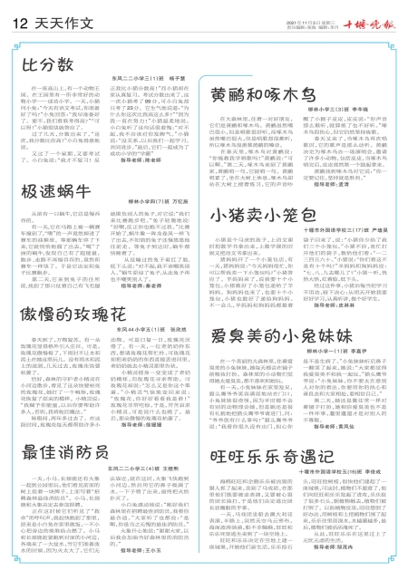 A12版导读