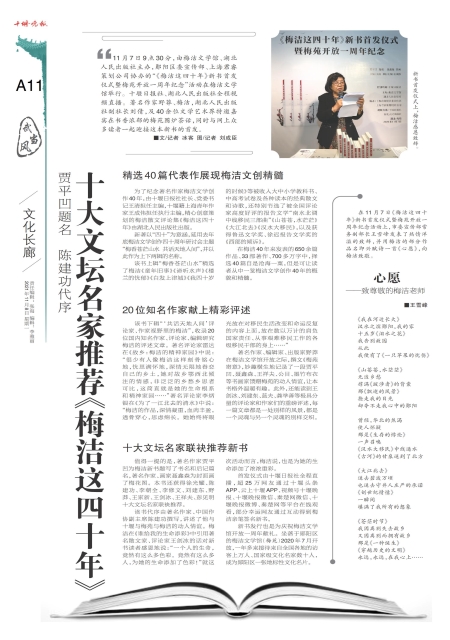 A11版导读