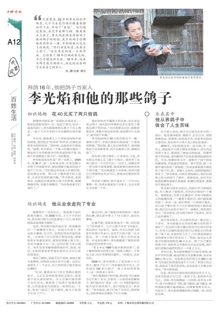 A12版导读